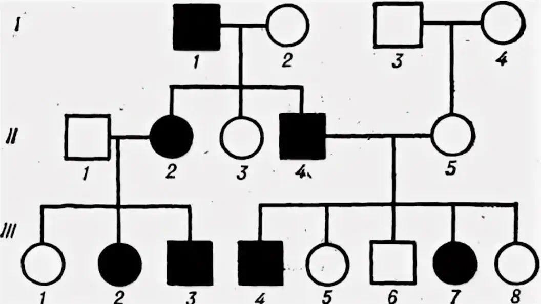 genetika-cheloveka-glubokoe-pogruzhenie-v-genealogicheskii-metod-issledovaniya